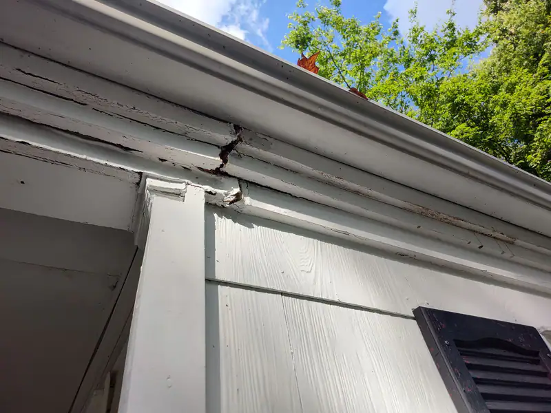 Gutter and fascia along a porch roof edge
