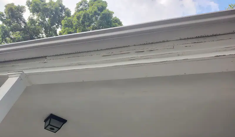 Porch soffit, fascia and gutter line with a ceiling light